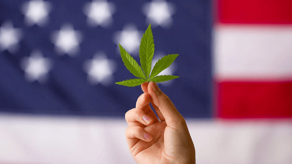 Council for Federal Cannabis Regulation (CFCR) Urges Biden Administration to Free CBD from the Drug Exclusion Rule and Allow FDA to Regulate Multi-Billion Dollar US Cannabis Market